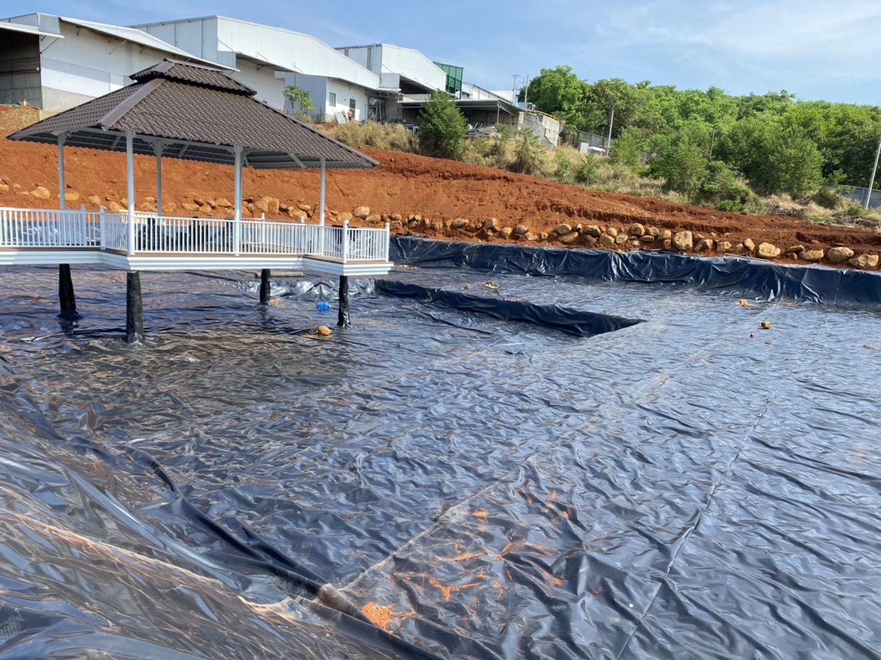 Kỹ thuật thi công bạt lót hồ cá koi chuyên nghiệp, đảm bảo độ bền và tính thẩm mỹ